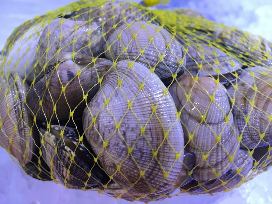 Sagastume Arrandegia