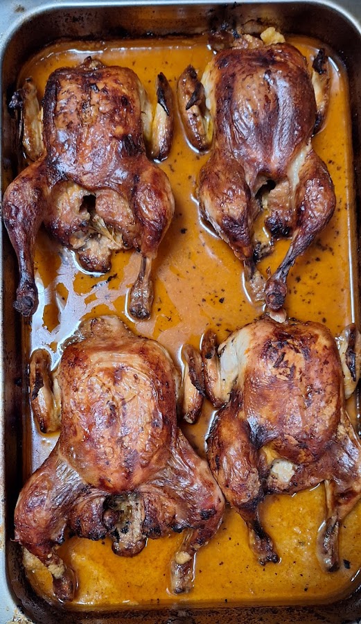 Turkish Kebab villabona