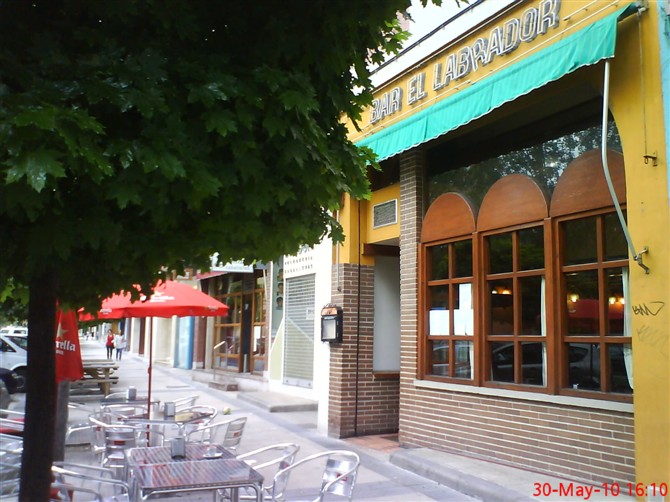 Bar el labrador