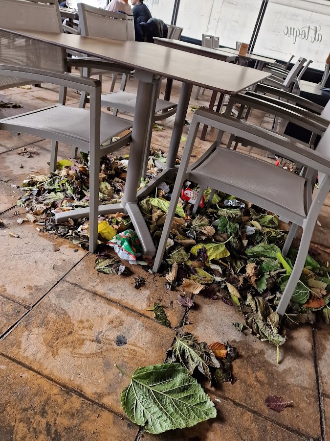 Cafetería Al Toque
