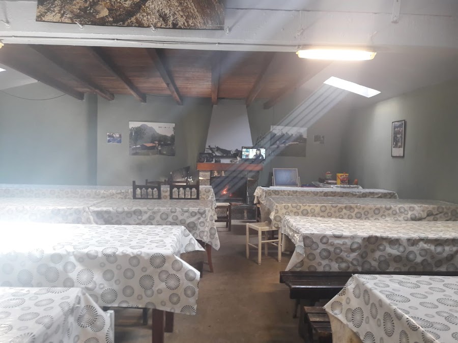 Zelatungo Antonioren borda